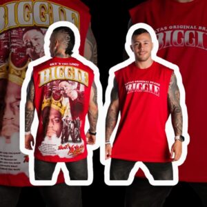 Camiseta musica - biggle